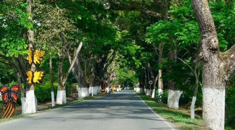 Viterbo, Caldas