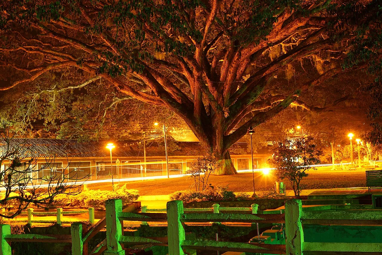 Santander de Quilichao, Cauca