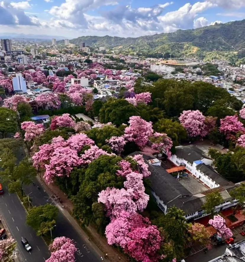 Ibagué, Tolima